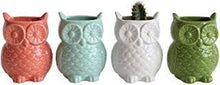 Load image into Gallery viewer, Owl Shaped Vase